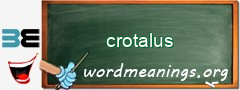 WordMeaning blackboard for crotalus